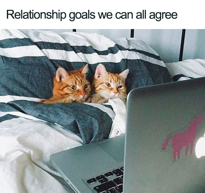 32 Relatable Relationship Memes That Are Funny Enough To Freshen Up Your Day Zestvine 2023