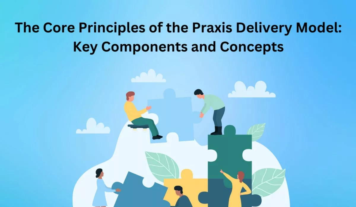 principles of praxis delivery model